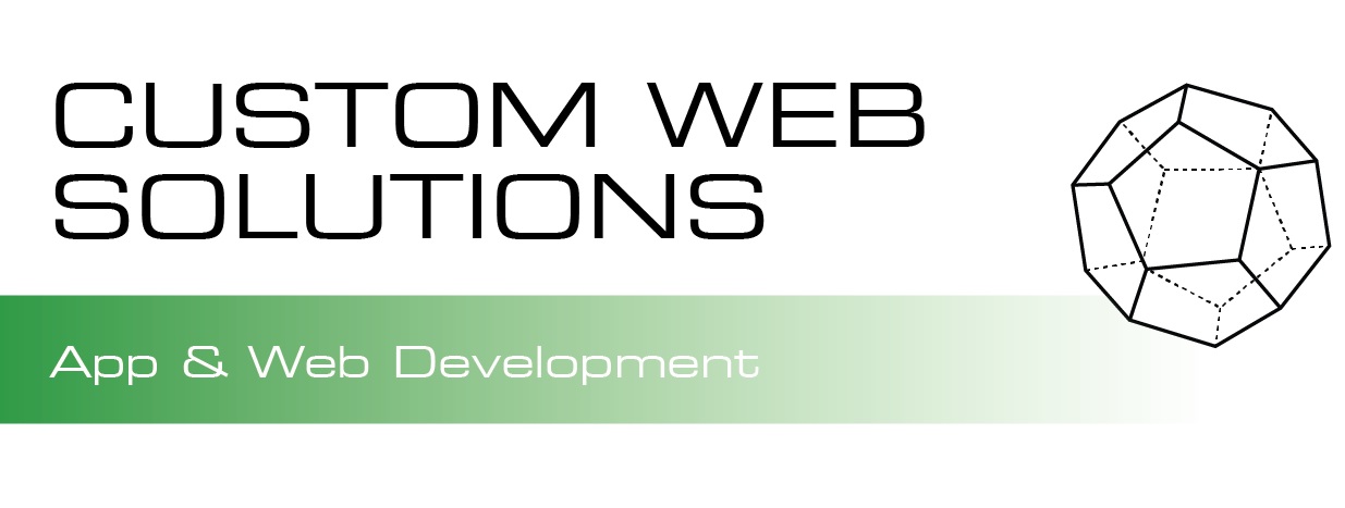 Things You Should Consider When Opting for Custom Web Solutions